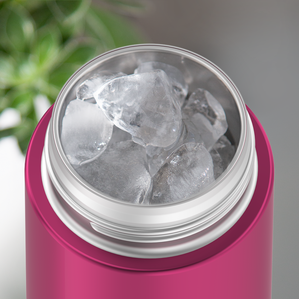 ts4350au_14oz_svw_hydration_aubergine_iceinset_pdp.png